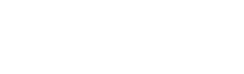 新技愛
